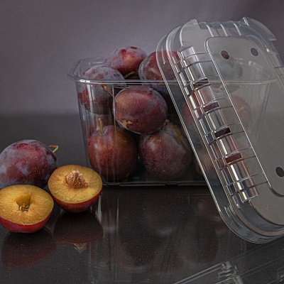 Перфорированный контейнер F500-750 c раздельной крышкой