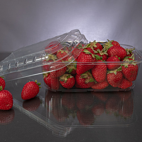 Перфорированный контейнер F400-500 c раздельной крышкой